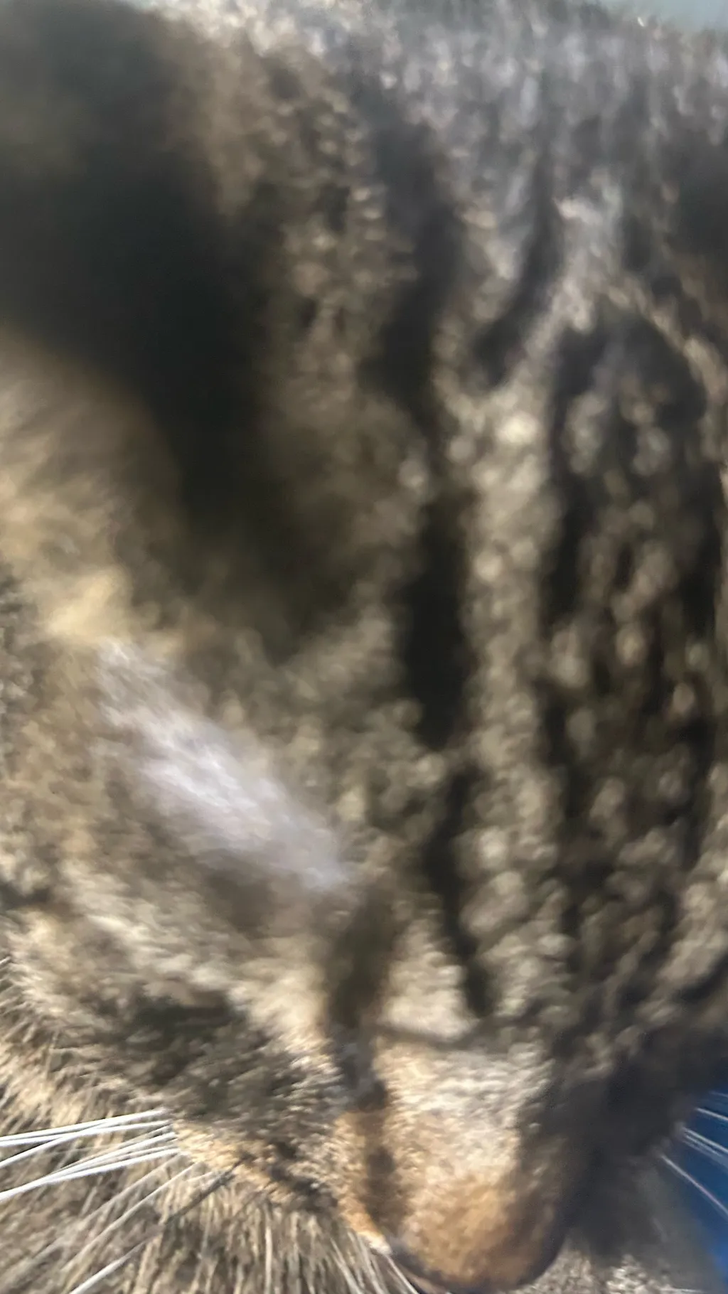 ai character: Save background