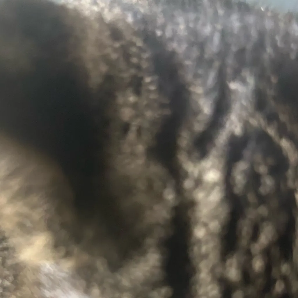 chat with ai character: Save