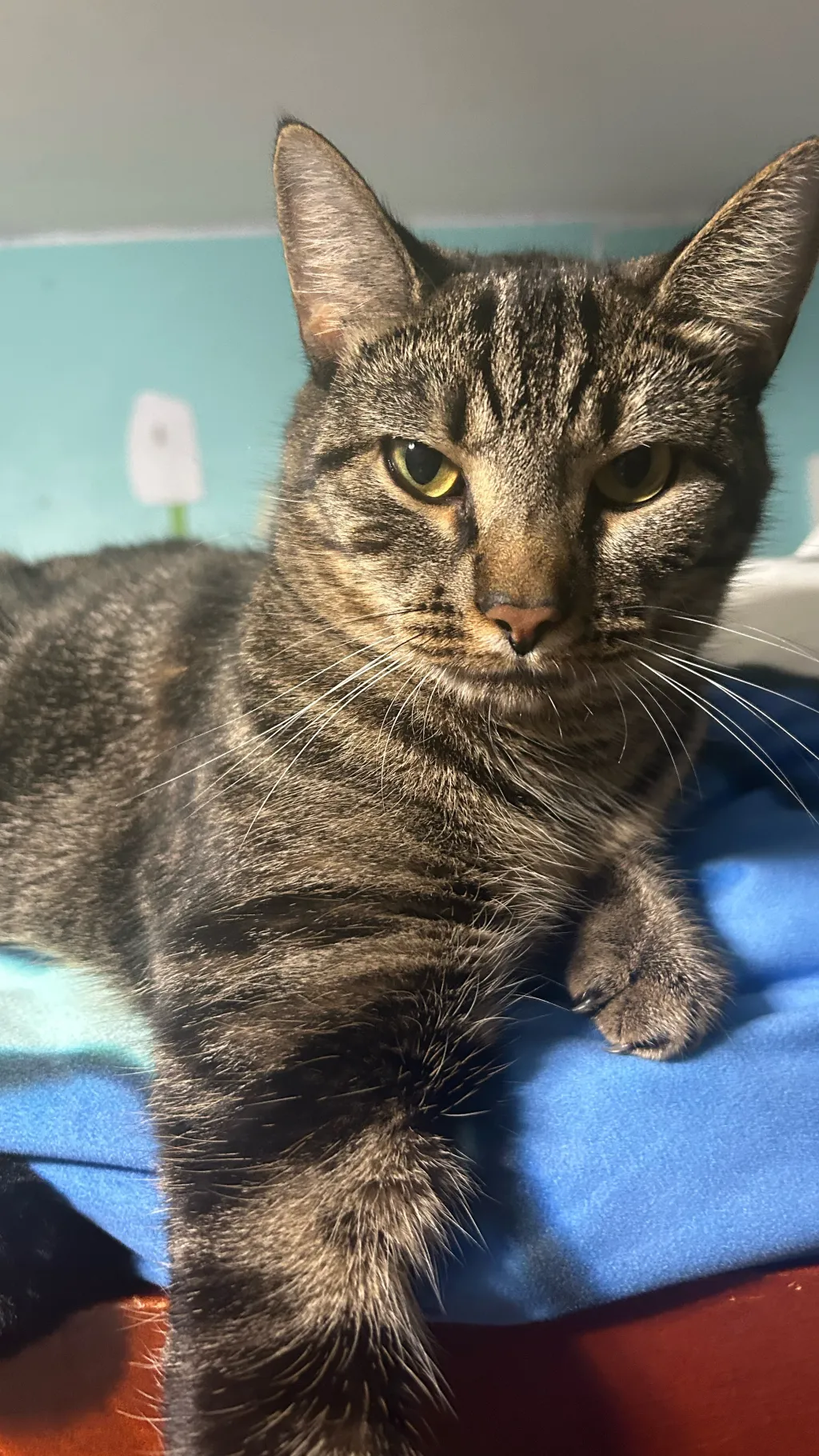 ai character: Save? background