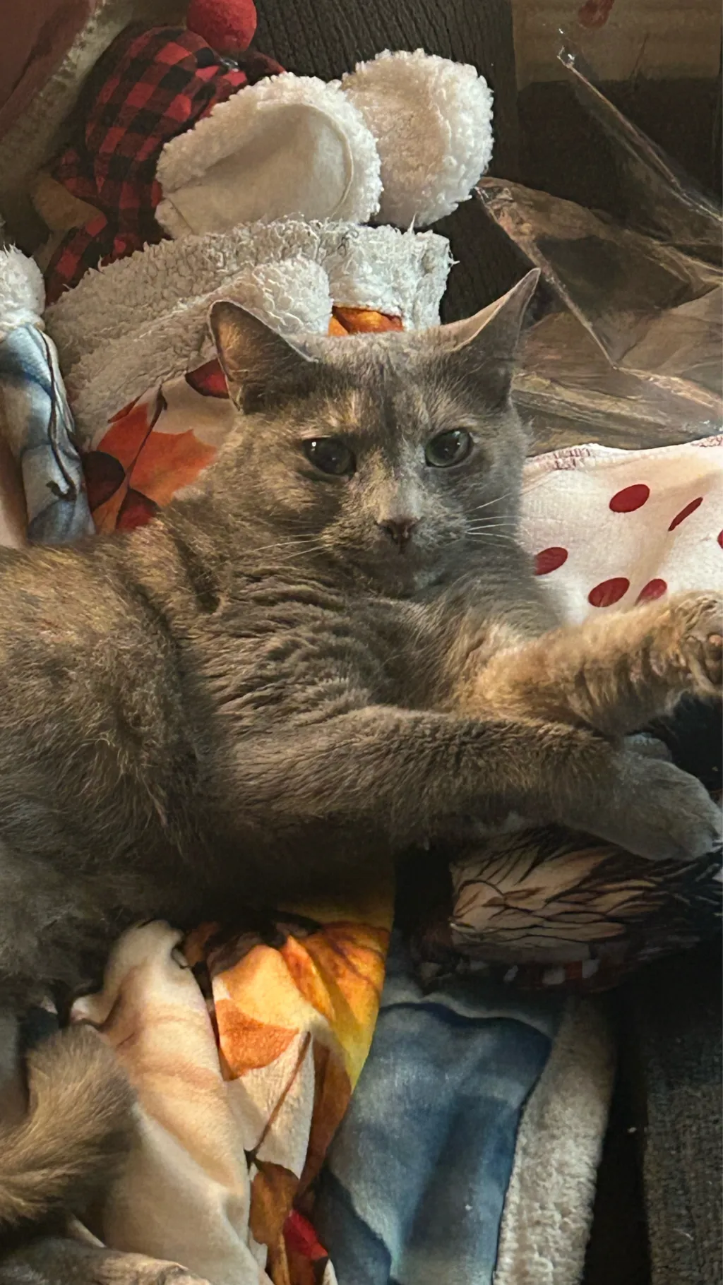 ai character: Saverr background