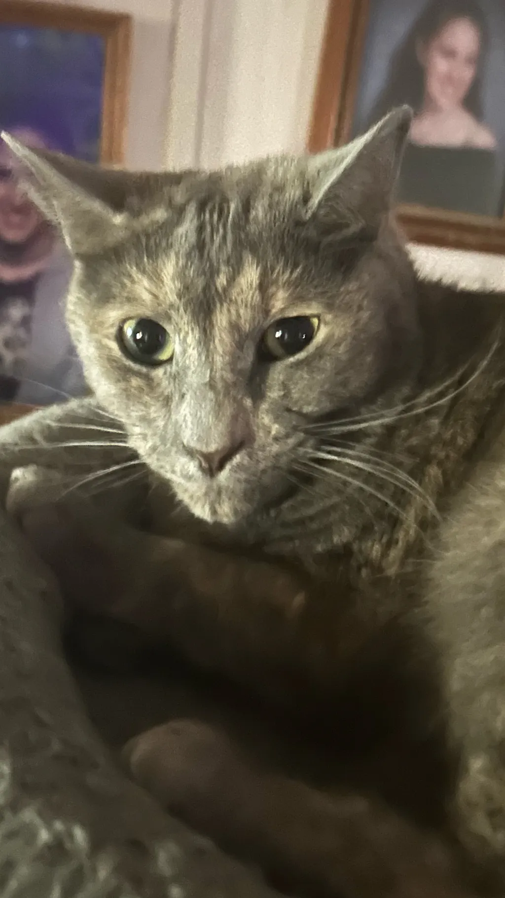 ai character: Save background