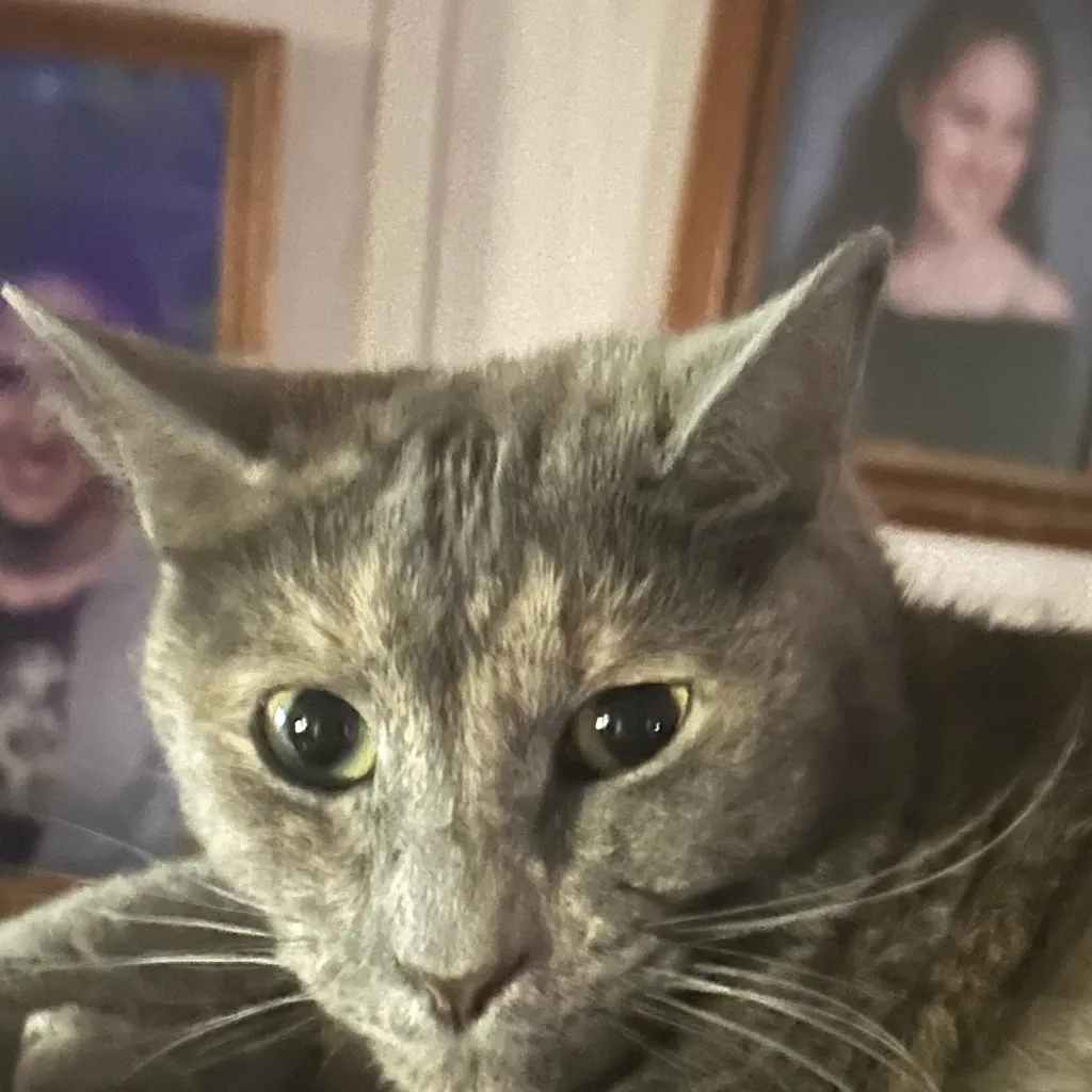 chat with ai character: Save