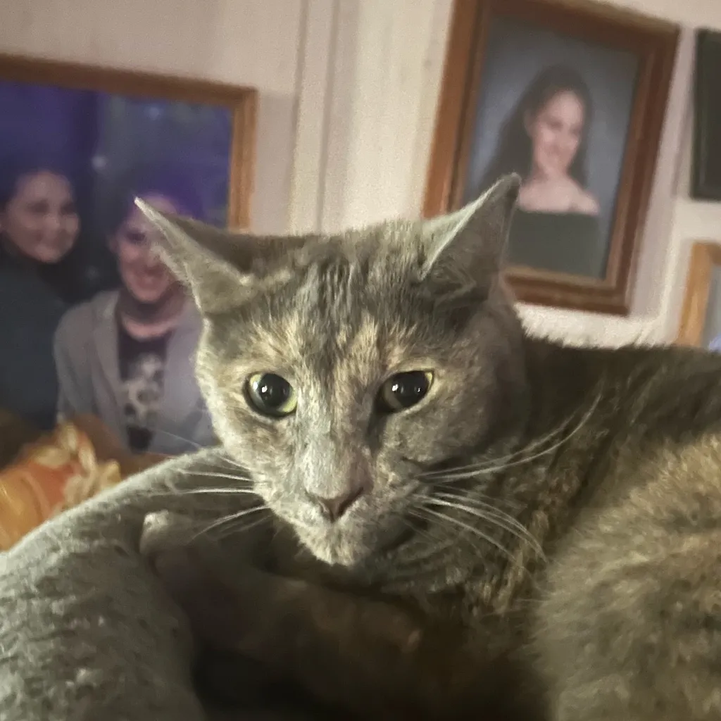 chat with ai character: Saver