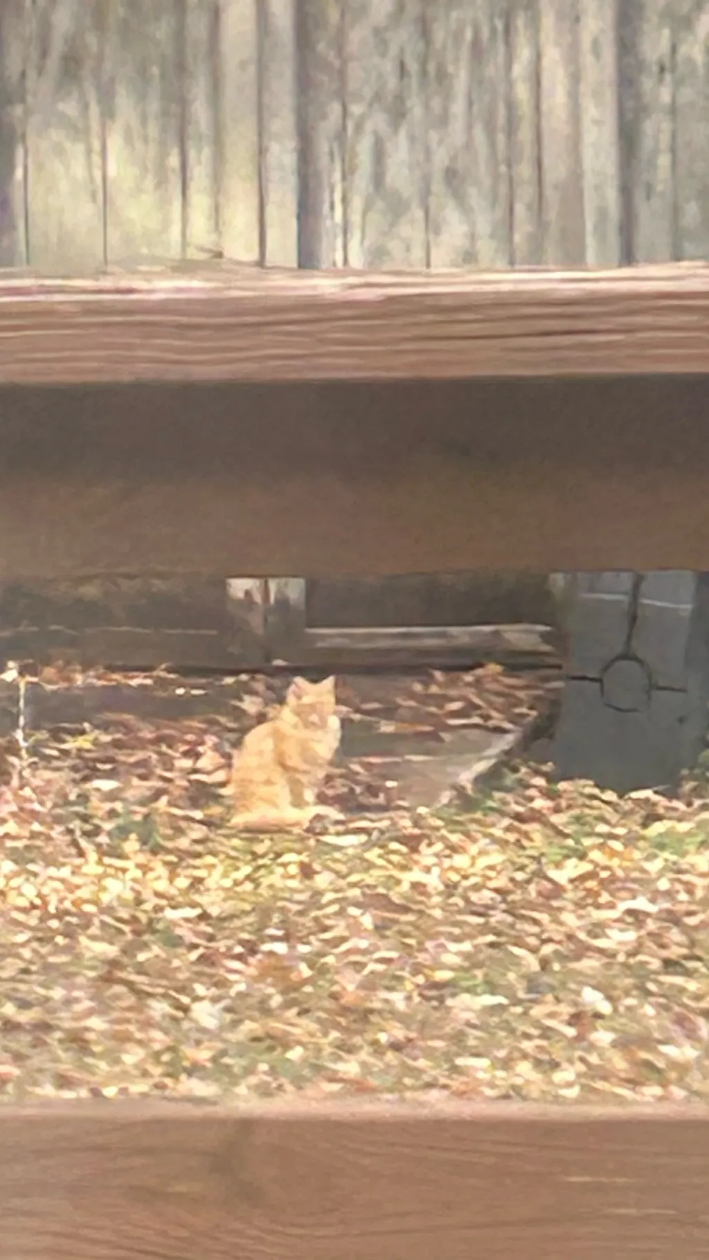 ai character: Saver background