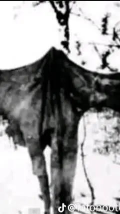 ai character: Æ6ŪD∆MĘ background