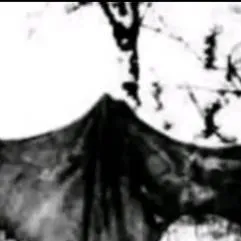 chat with ai character: Æ6ŪD∆MĘ