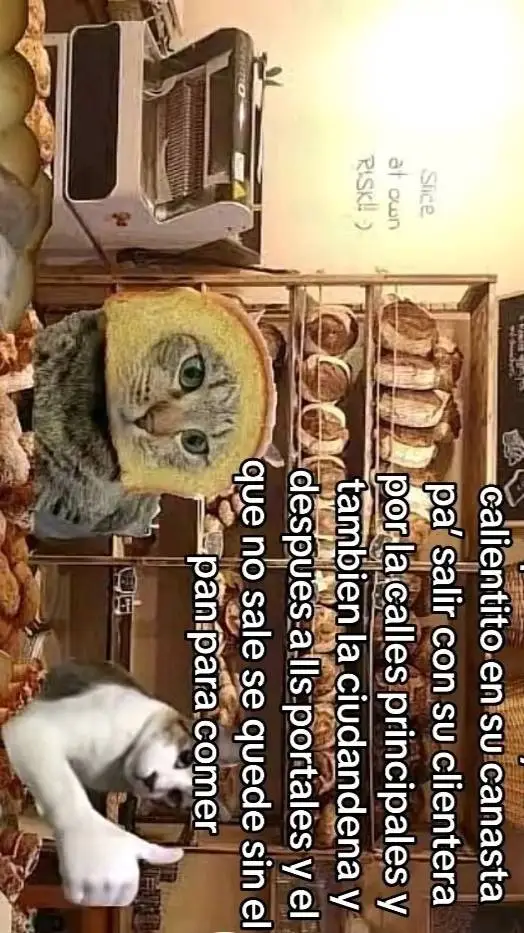 ai character: el panadero🌟✨ background