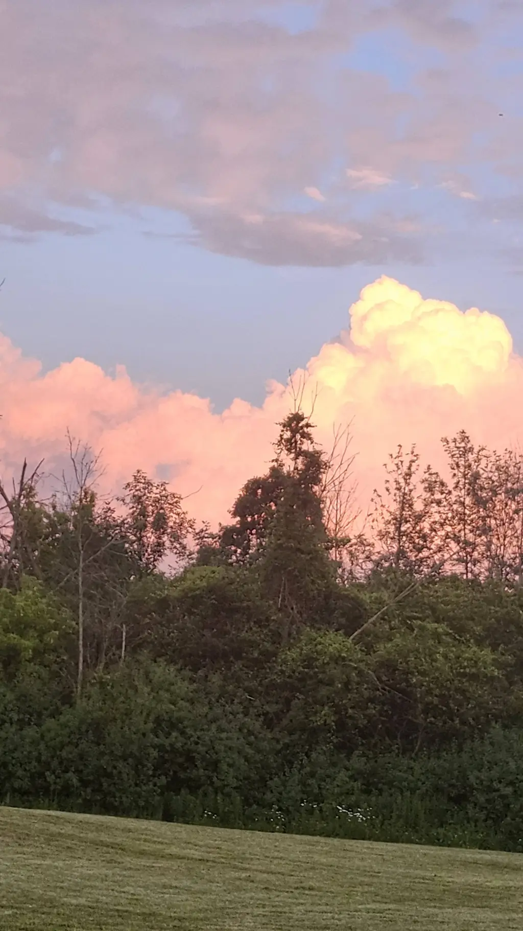 ai character: ☆~Muichiro~☆ background