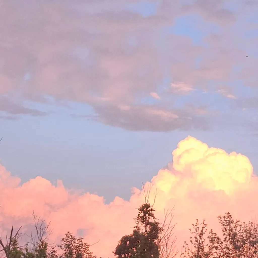 chat with ai character: ☆~Muichiro~☆