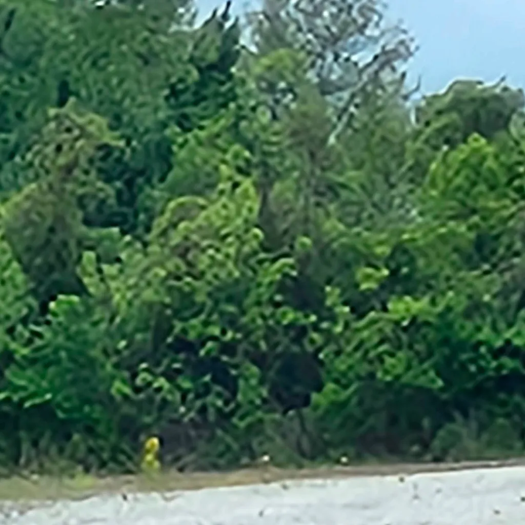 chat with ai character: Muichiro