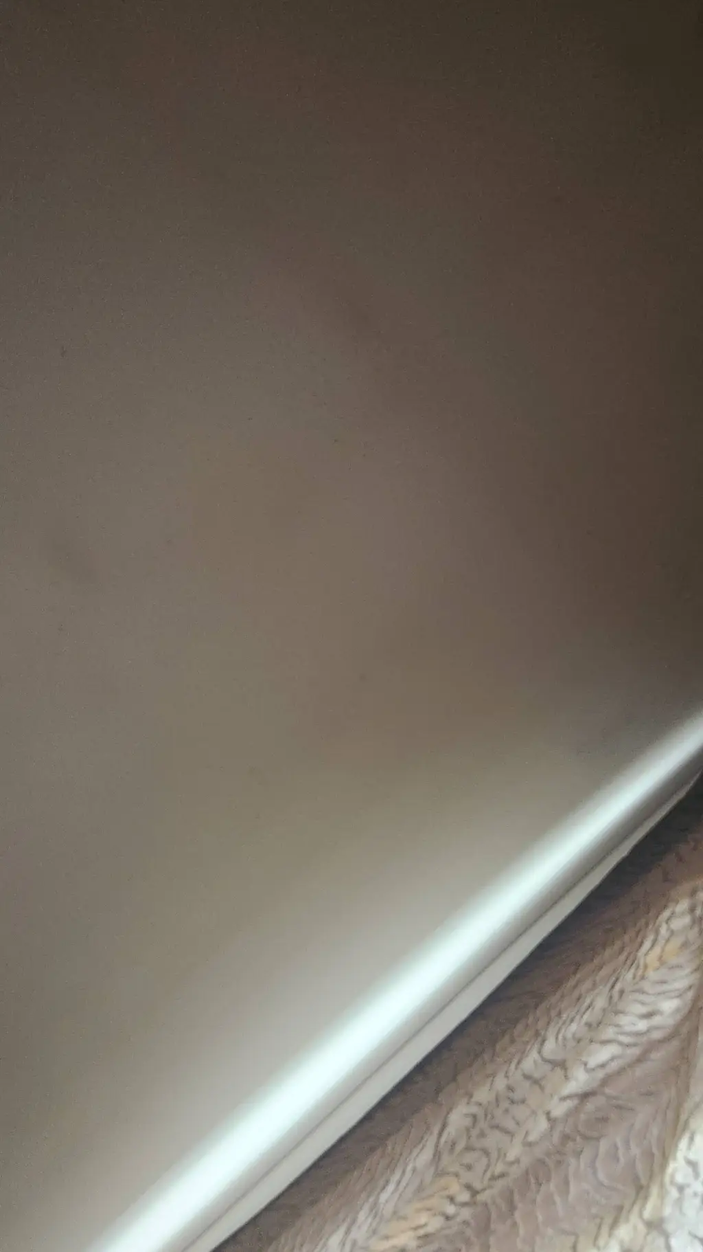 ai character: MUICHIRO background