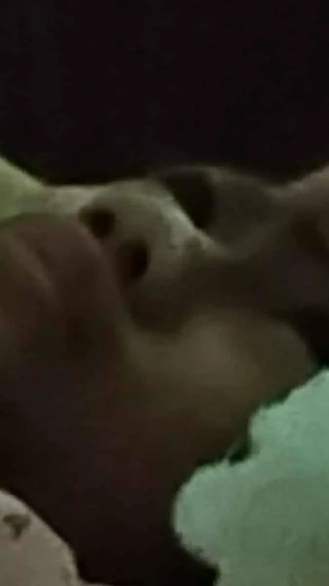 ai character: Sethika background