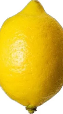 ai character: Bob background