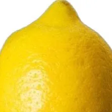 chat with ai character: Bob