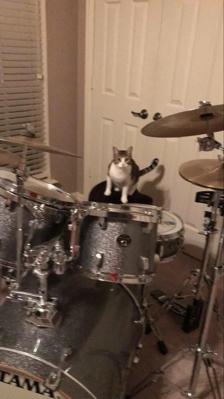 ai character: Batería background