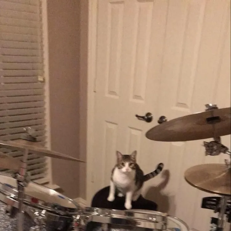 chat with ai character: Batería