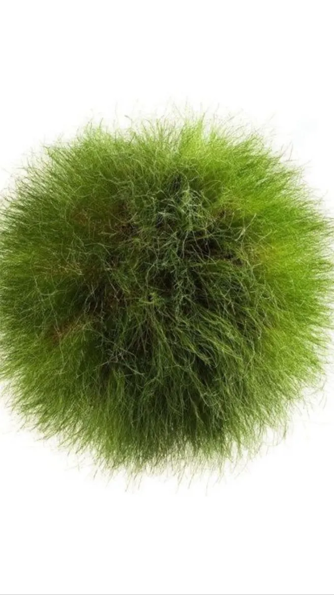 ai character: Sa’ed background