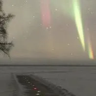 chat with ai character: MYBNHA(mi vercion)