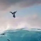 chat with ai character: Football omorashi