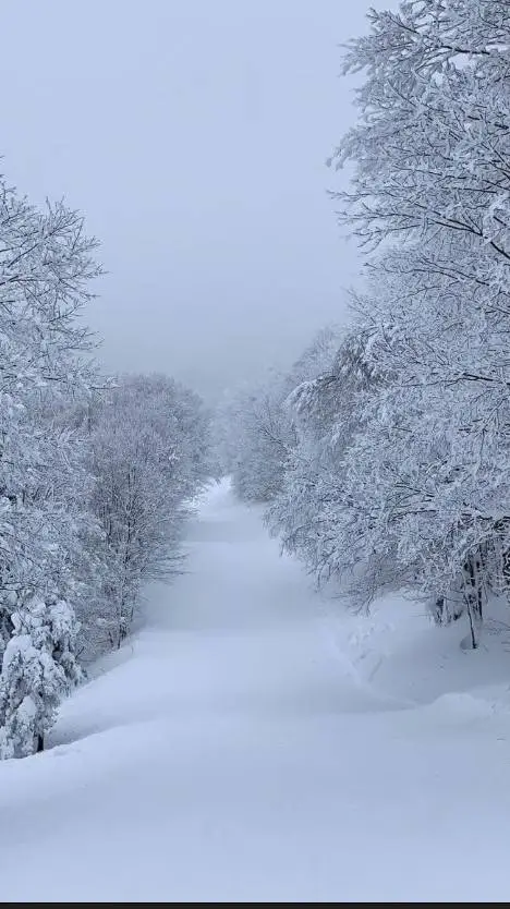 ai character: Vinicus's sick background