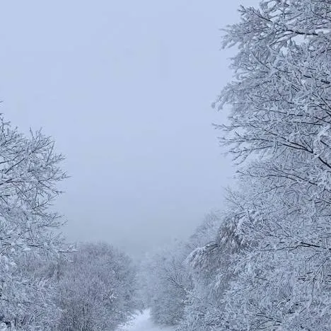 chat with ai character: Vinicus's sick