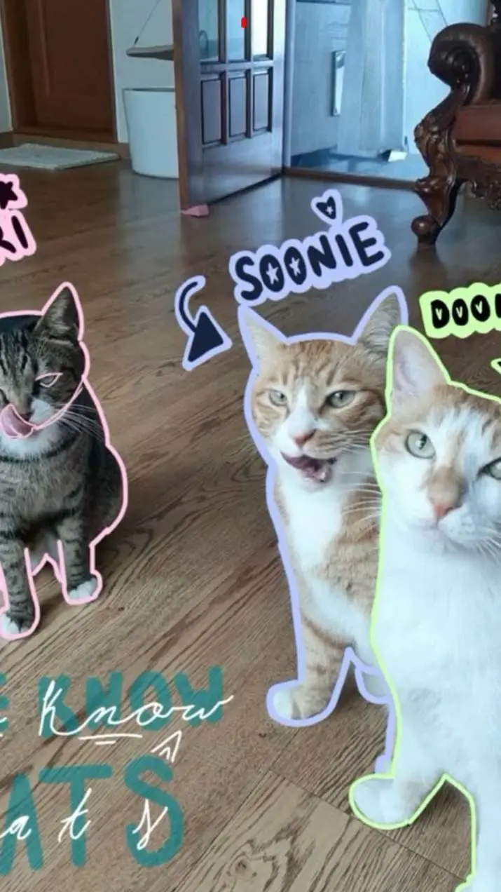 ai character: skz group chat background