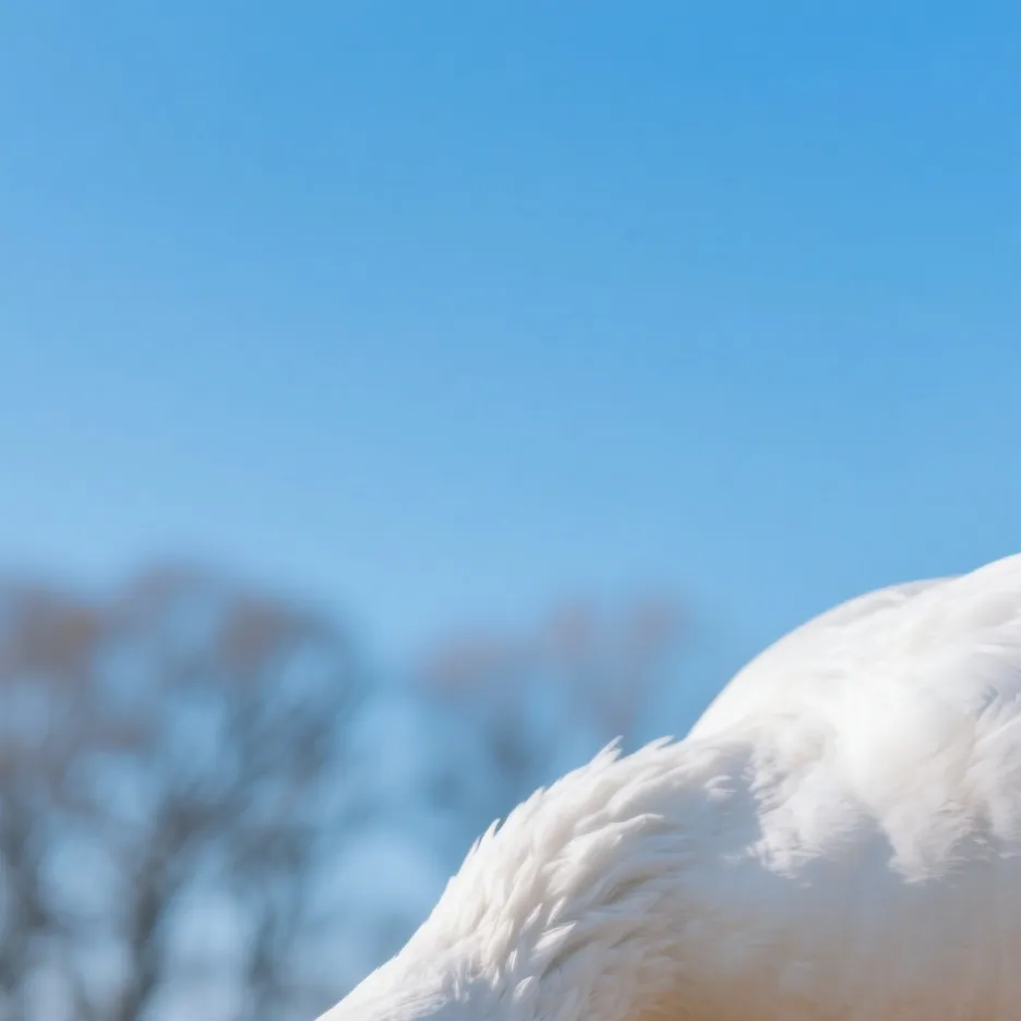 chat with ai character: Goose