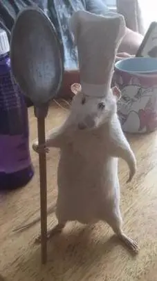 ai character: RAMY background