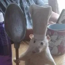 chat with ai character: RAMY