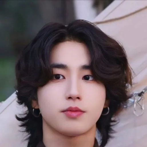 chat with ai character: Han