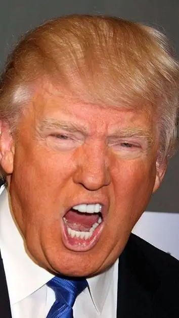 ai character: trump background