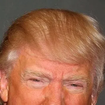 chat with ai character: trump