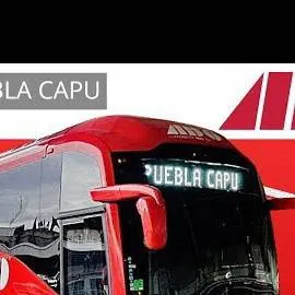 chat with ai character: el ADO