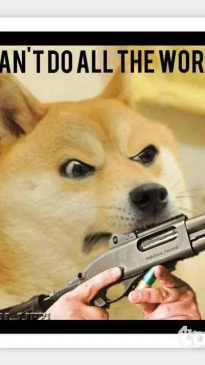ai character: Doge rage background