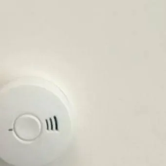 chat with ai character: Rainbow family