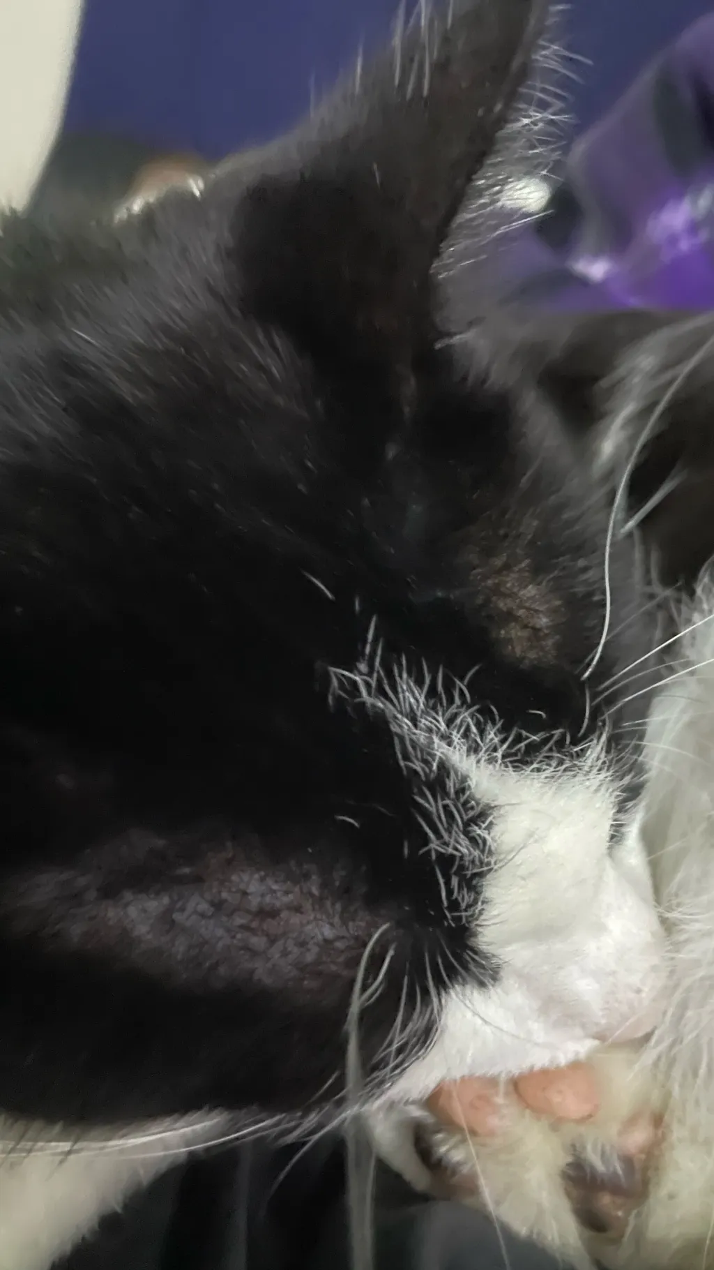 ai character: Diesel background