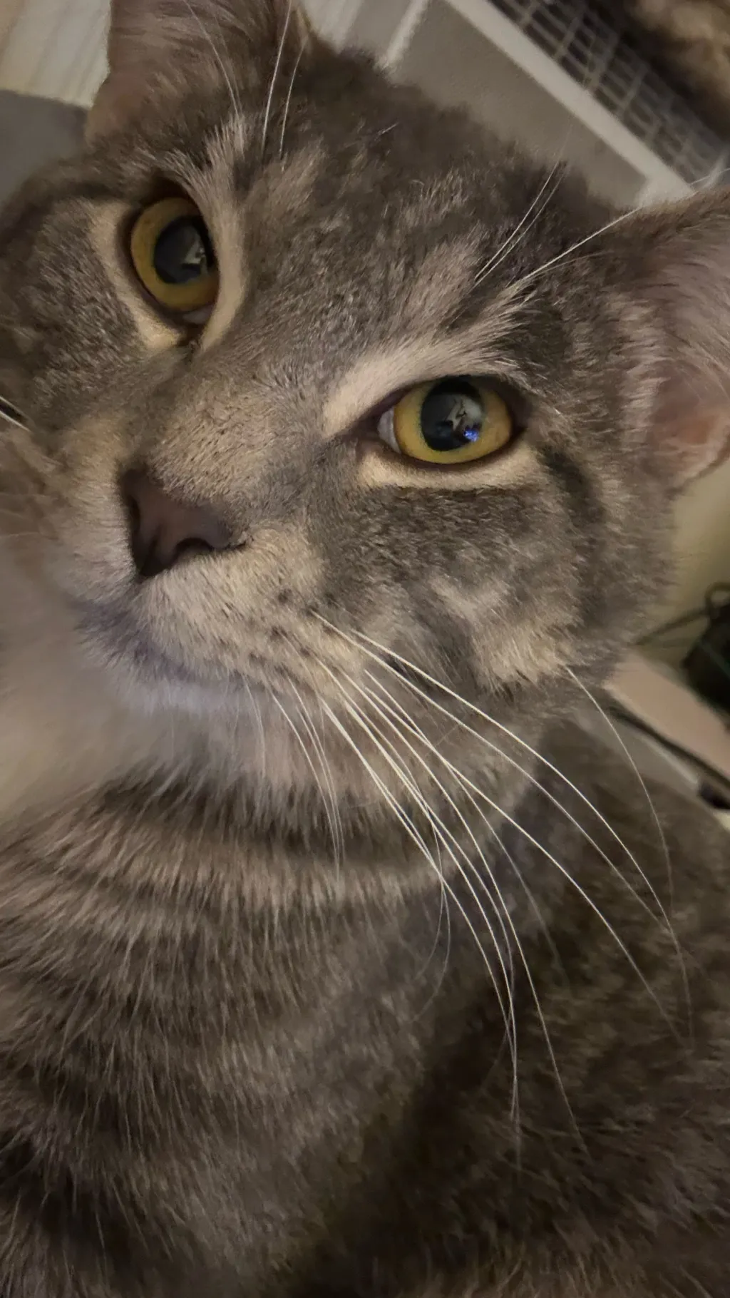 ai character: Tom ￼ background