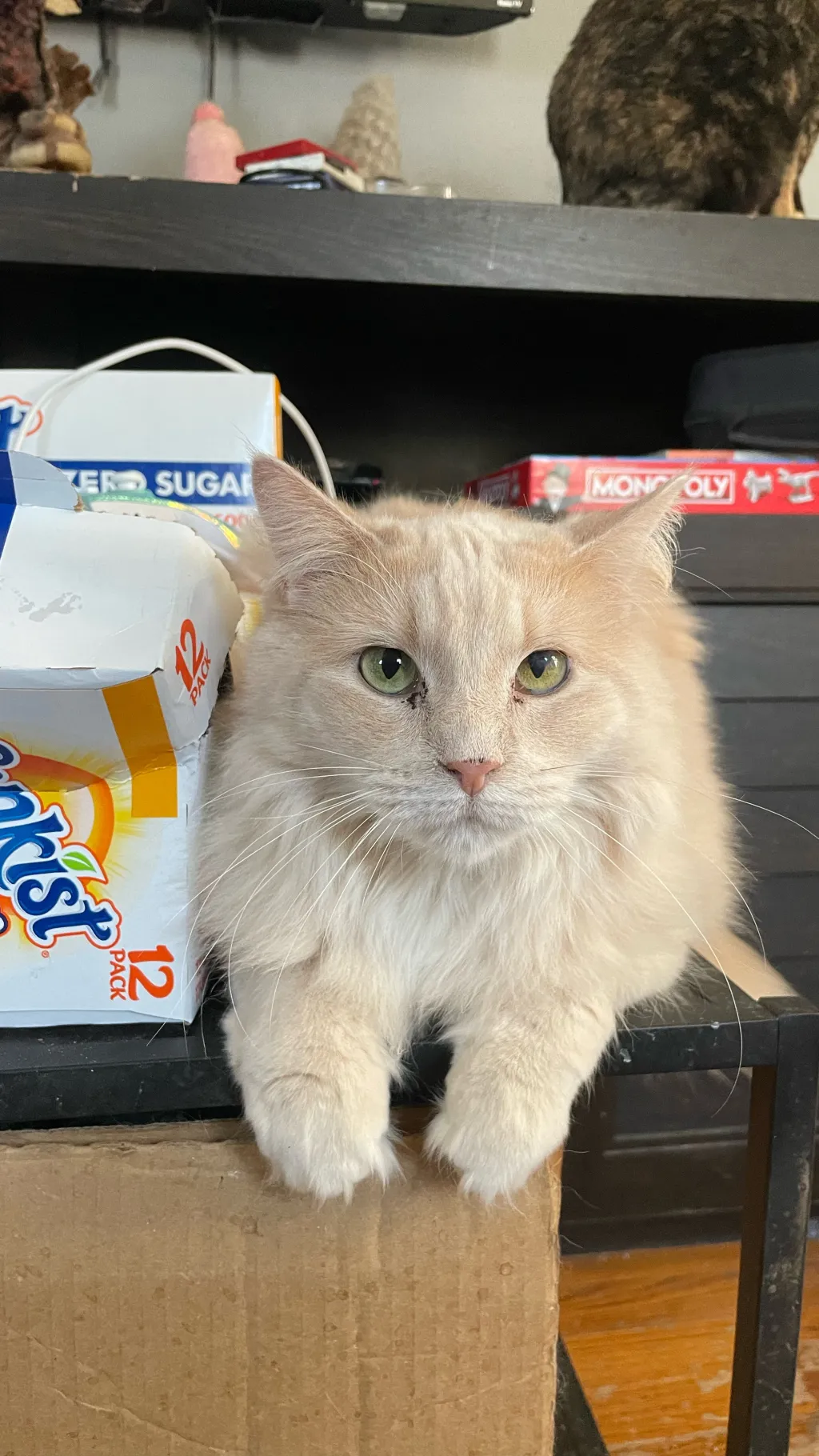 ai character: ￼ Terrian background