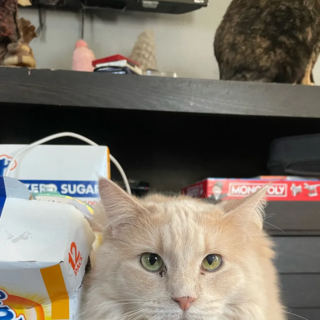 chat with ai character: ￼ Terrian