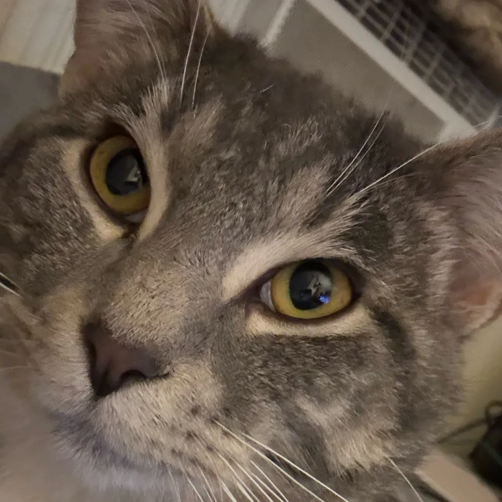 chat with ai character: Jimmy and scratch