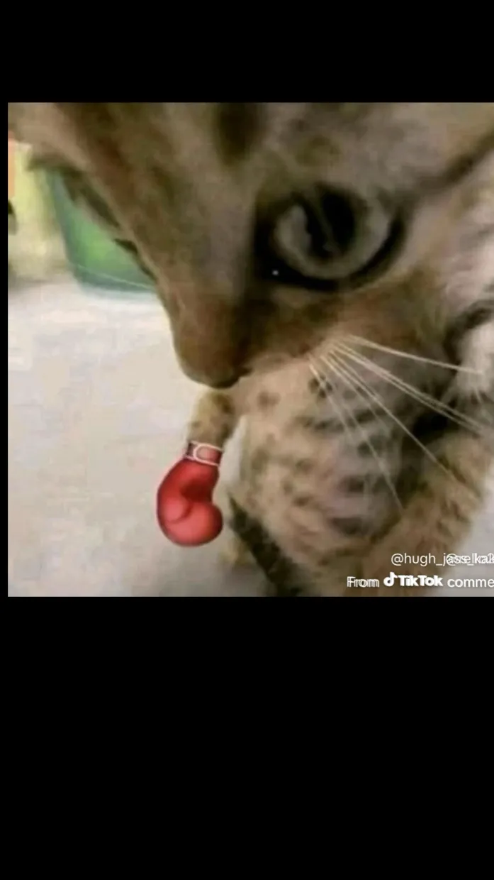 ai character: Dark background