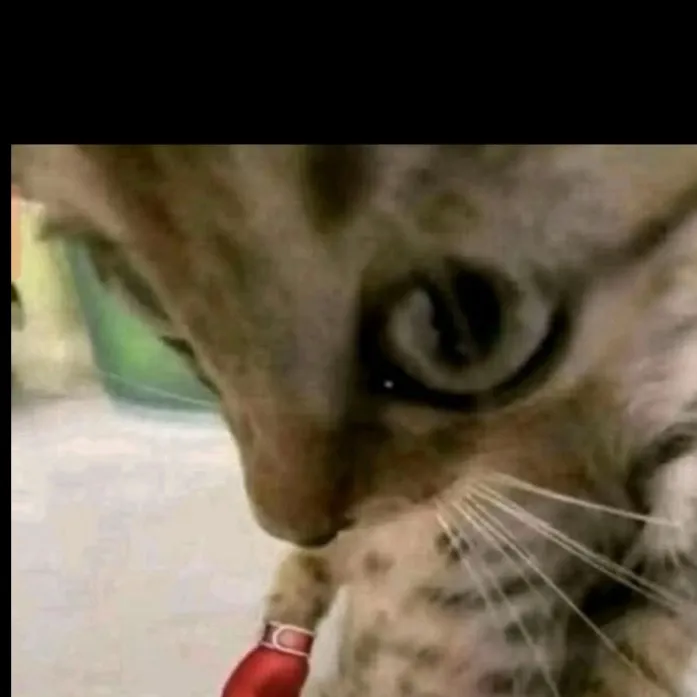 chat with ai character: Dark