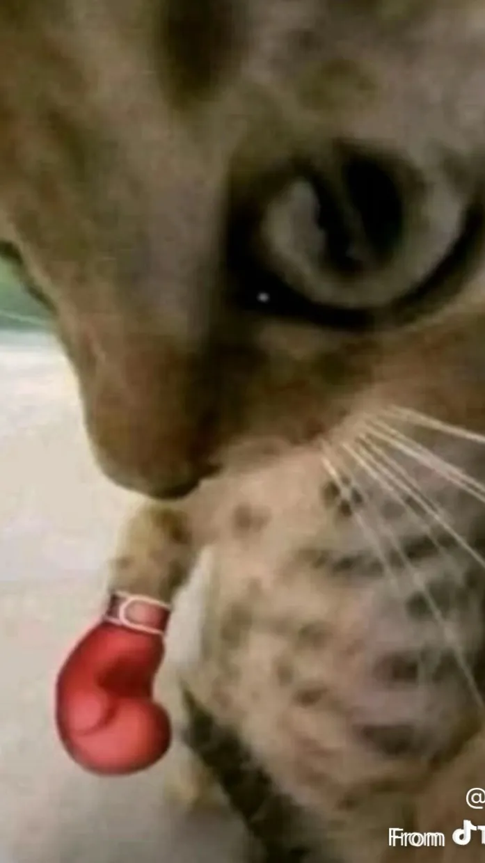 ai character: ￼ Chase background