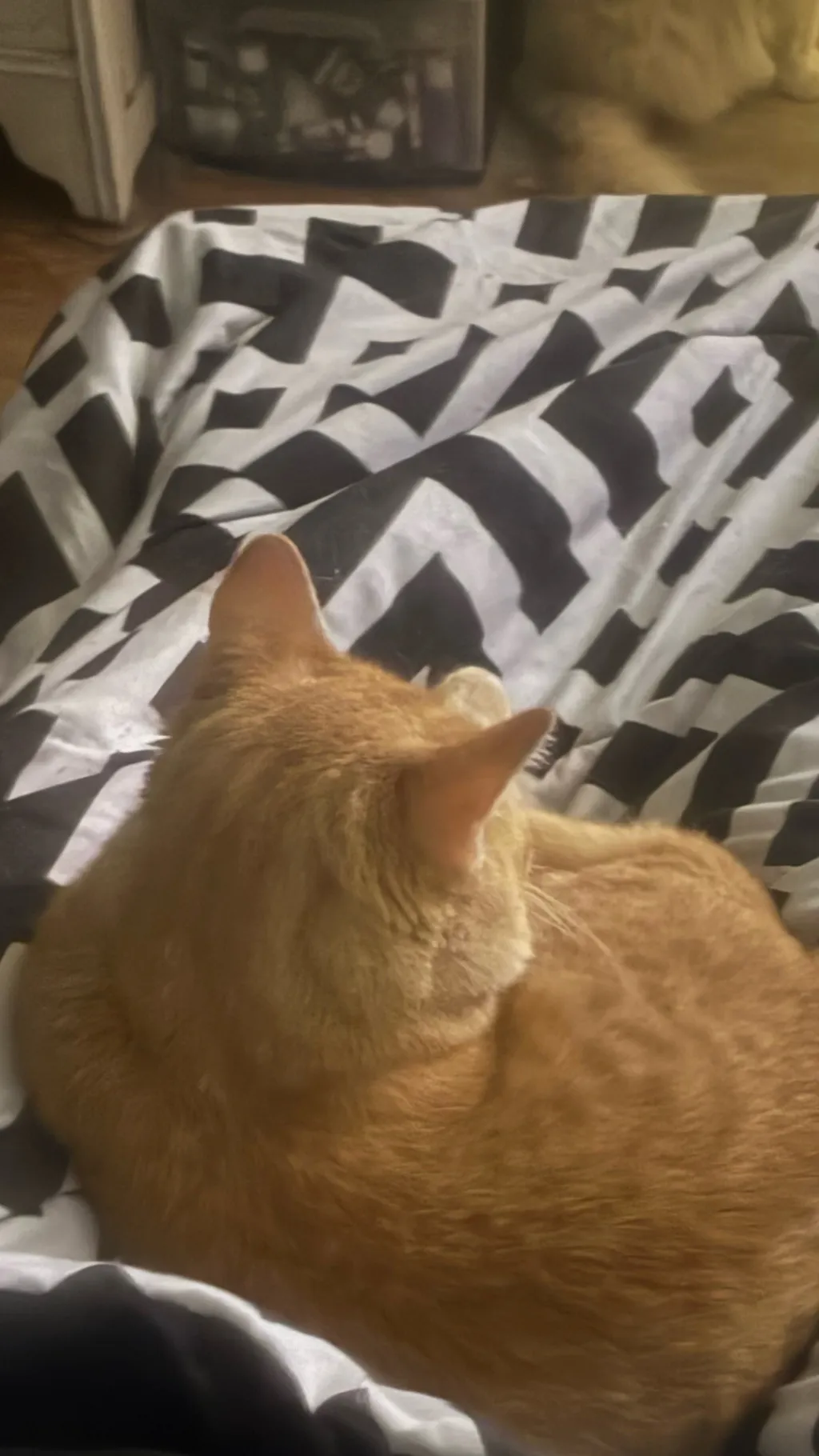 ai character: Teacher ￼ background