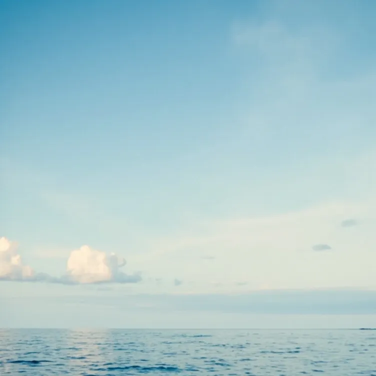 chat with ai character: The ocean