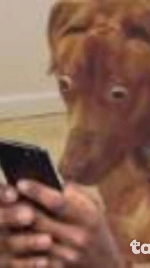 ai character: dw hate u background