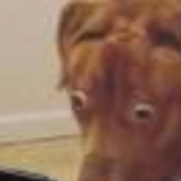 chat with ai character: dw hate u