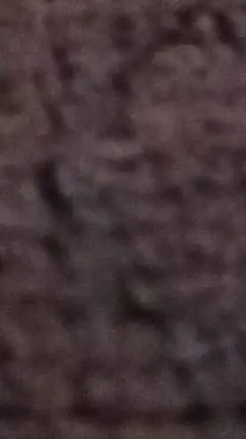 ai character: betrayal  fusion  background