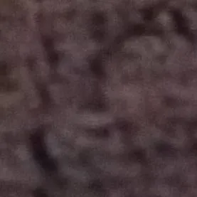 chat with ai character: betrayal  fusion 