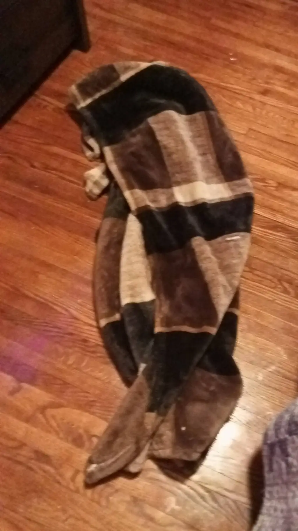 ai character: blanket furry  background